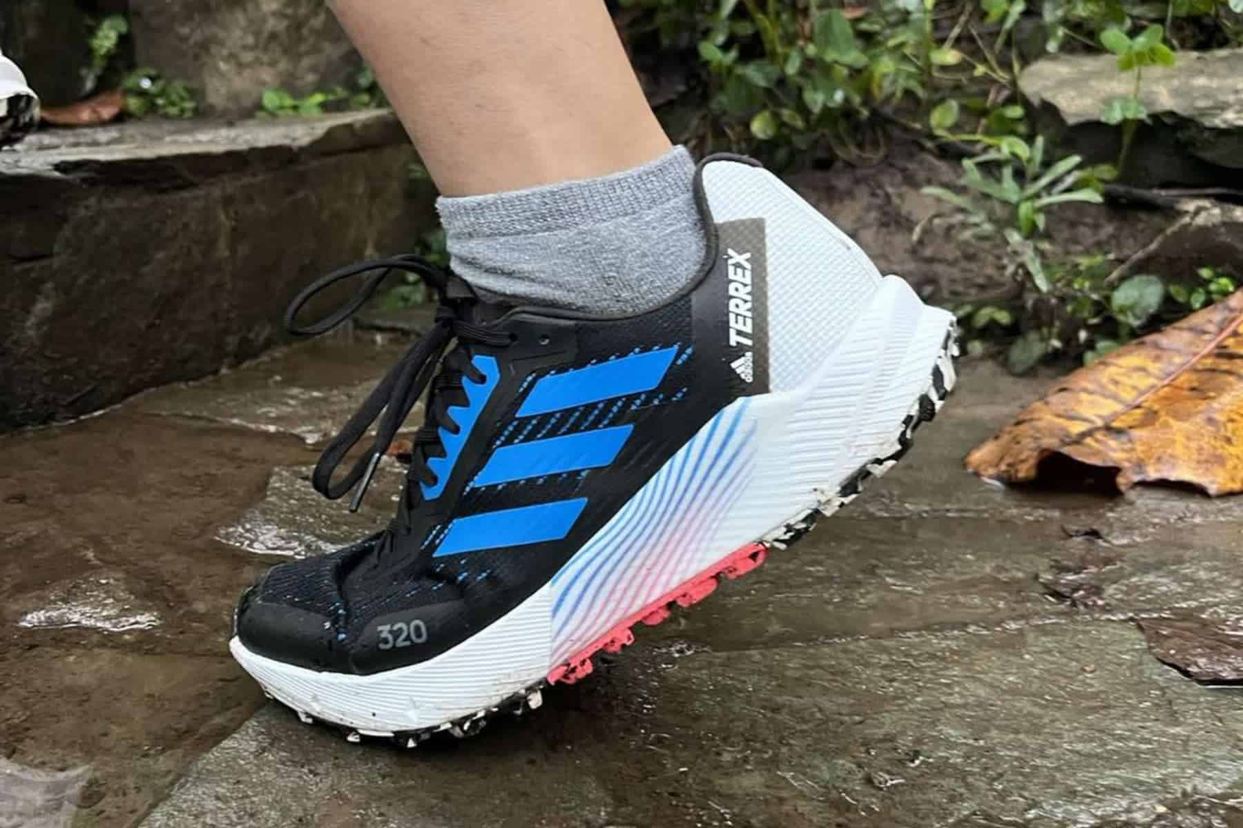 Adidas Terrex Agravic Flow 2 Trail - Review 2025 - Outoria
